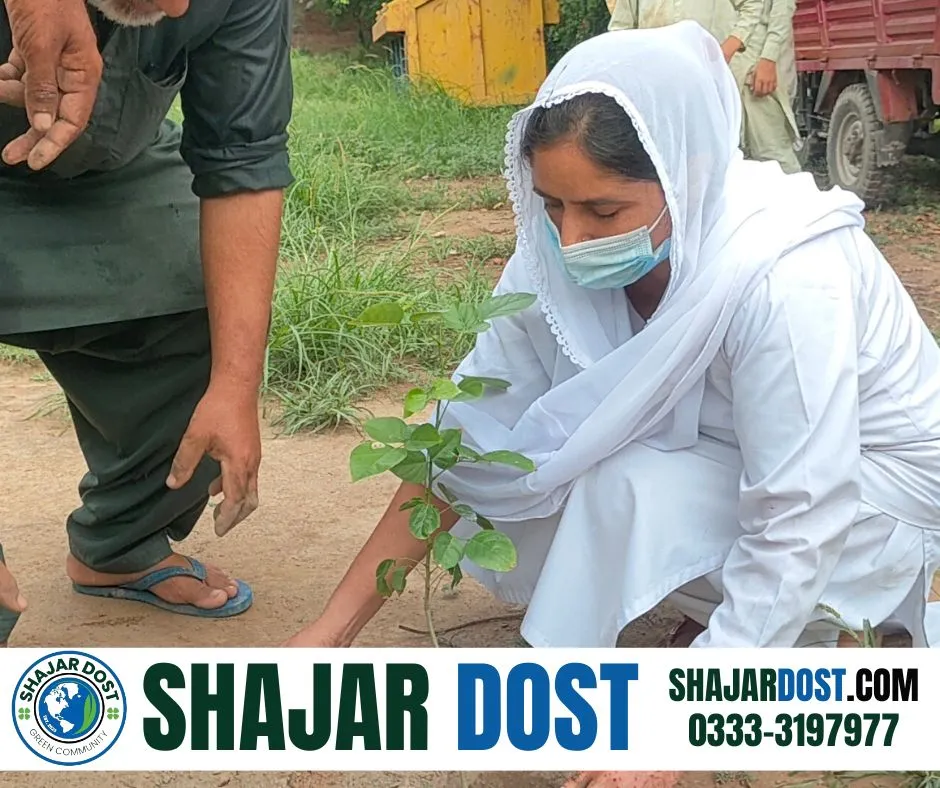 Green Seekers Activity